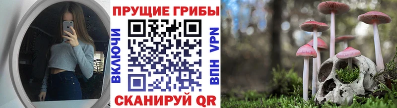Галлюциногенные грибы мицелий  Дагестанские Огни 